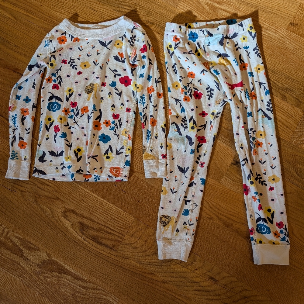 Hanna Andersson Size 4 Print Pajama Set
